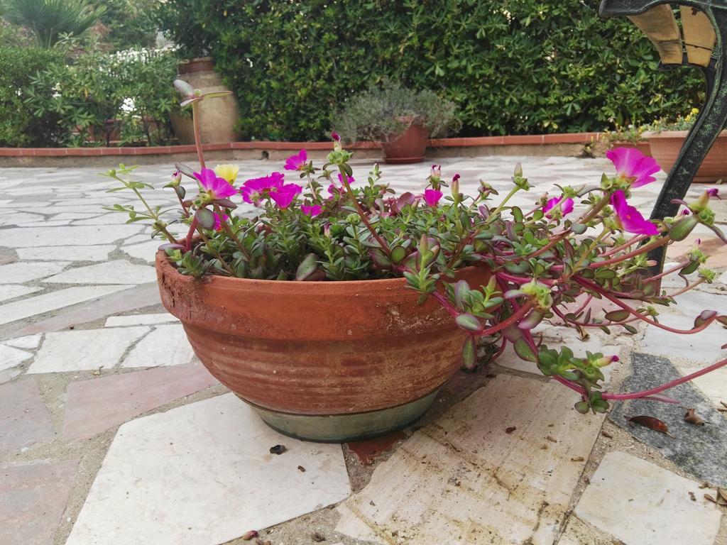 Villalba Castellammare del Golfo Dış mekan fotoğraf