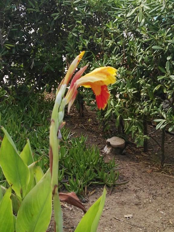 Villalba Castellammare del Golfo Dış mekan fotoğraf
